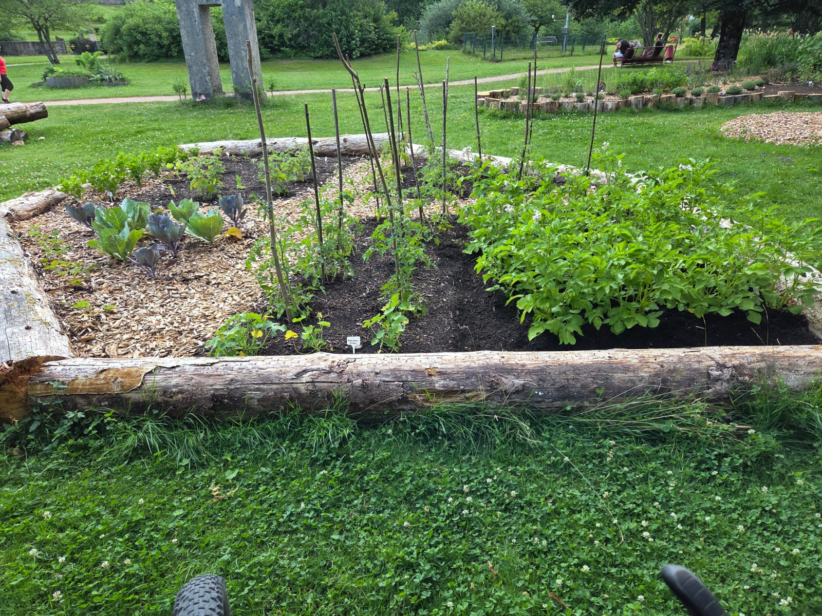 Obstgarten