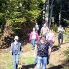 Abstieg zum R�tte-Pavillion